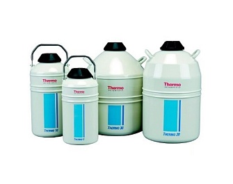 Контейнер для жидкого азота Thermo 20